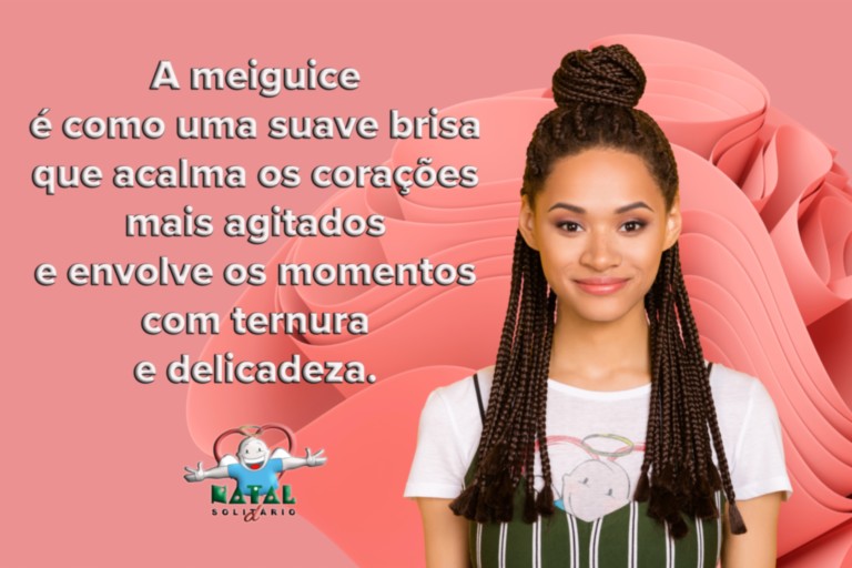 A meiguice